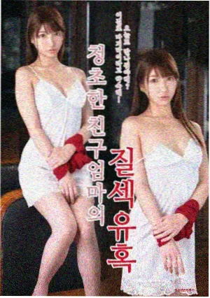 旧书店的访客 治愈剧集海报